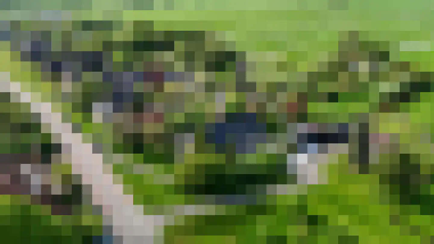 Opperduit 334 Lekkerkerk thumbnail 66