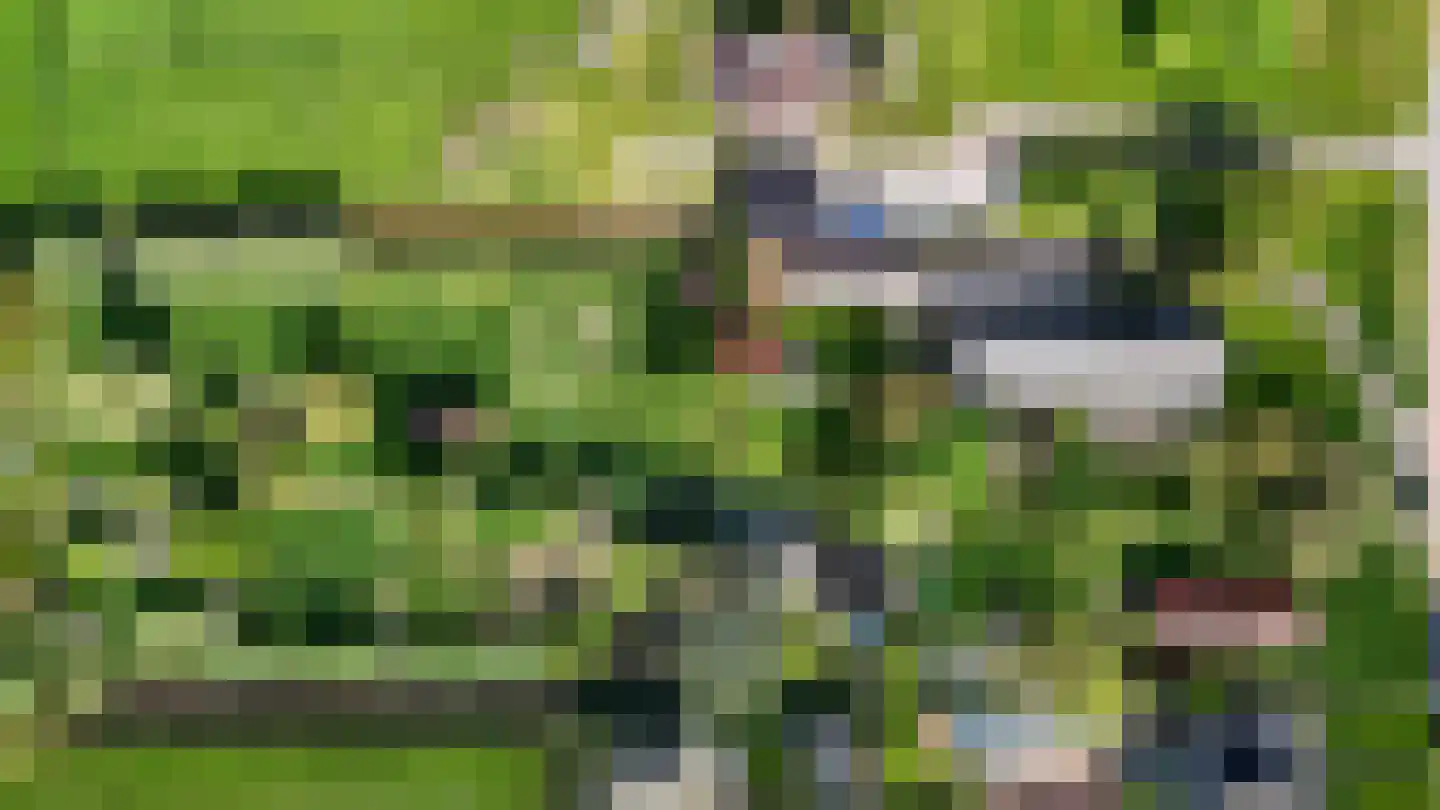 Opperduit 334 Lekkerkerk thumbnail 67