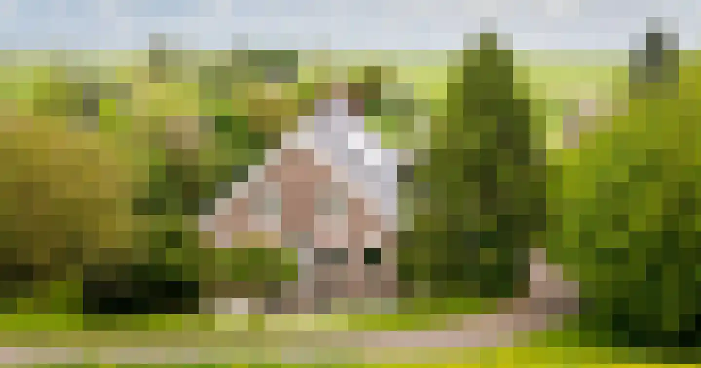 Opperduit 334 Lekkerkerk thumbnail 7