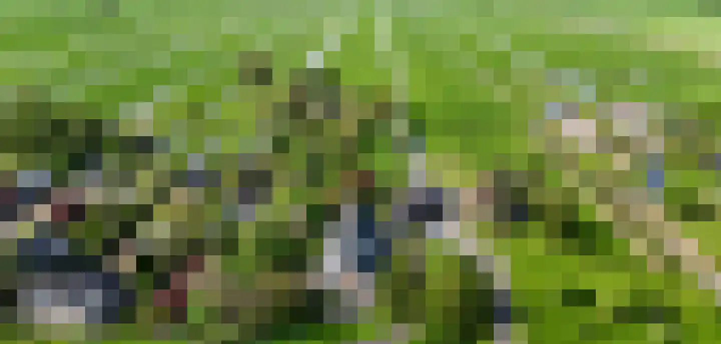 Opperduit 334 Lekkerkerk thumbnail 8
