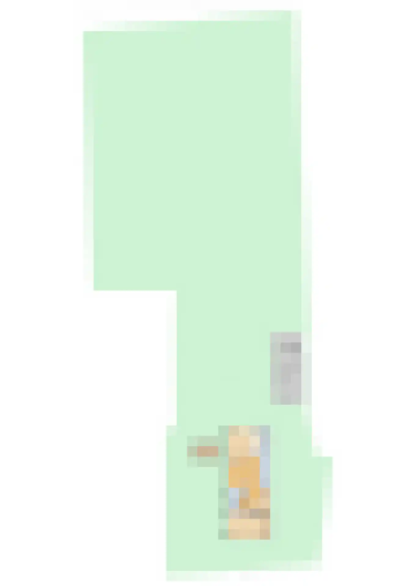 Opperduit 334 Lekkerkerk thumbnail 83
