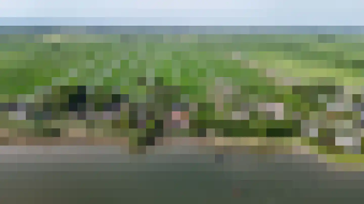 Opperduit 334 Lekkerkerk thumbnail 9