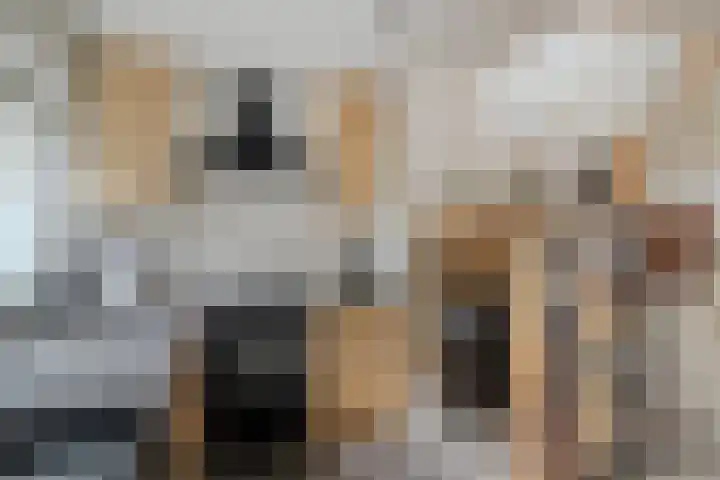 Opperduit 396 Lekkerkerk thumbnail 10