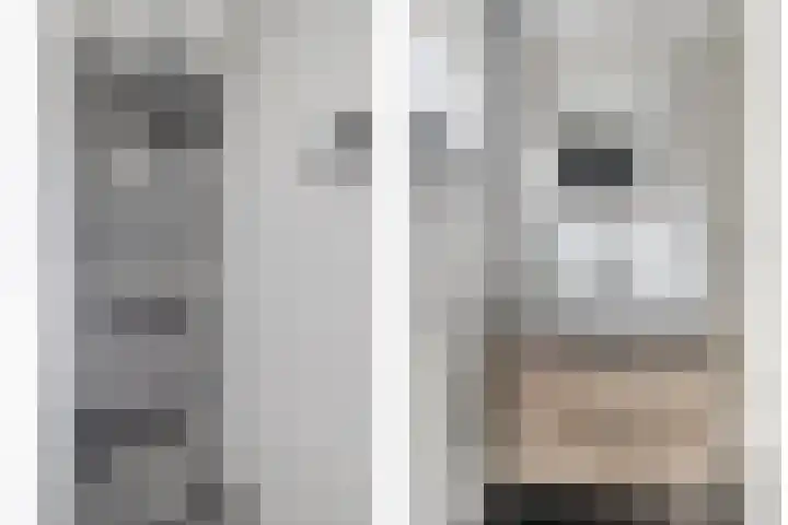 Opperduit 396 Lekkerkerk thumbnail 13
