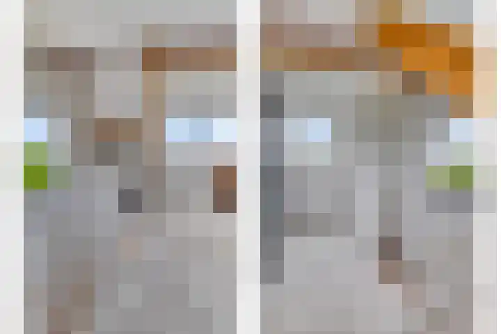 Opperduit 396 Lekkerkerk thumbnail 14