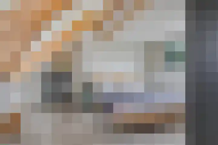 Opperduit 396 Lekkerkerk thumbnail 15