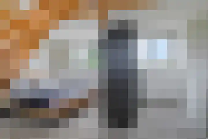 Opperduit 396 Lekkerkerk thumbnail 16
