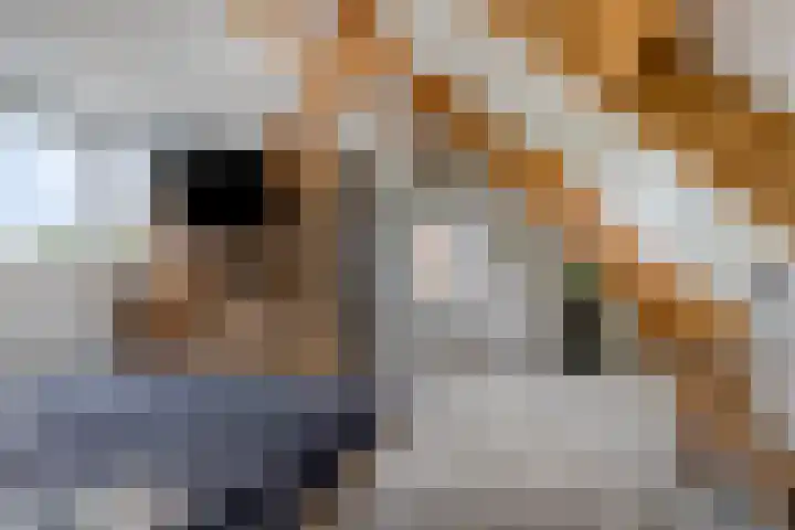 Opperduit 396 Lekkerkerk thumbnail 18
