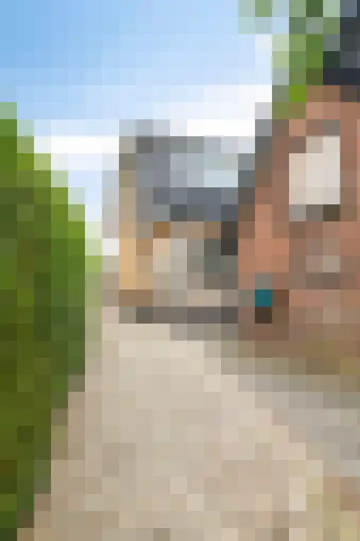Opperduit 396 Lekkerkerk thumbnail 19