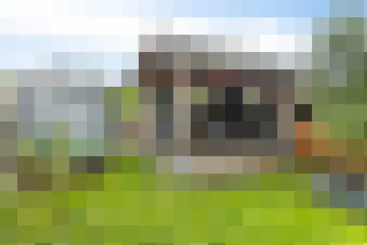 Opperduit 396 Lekkerkerk thumbnail 22