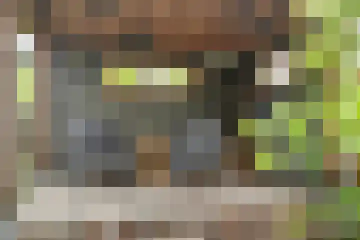Opperduit 396 Lekkerkerk thumbnail 23