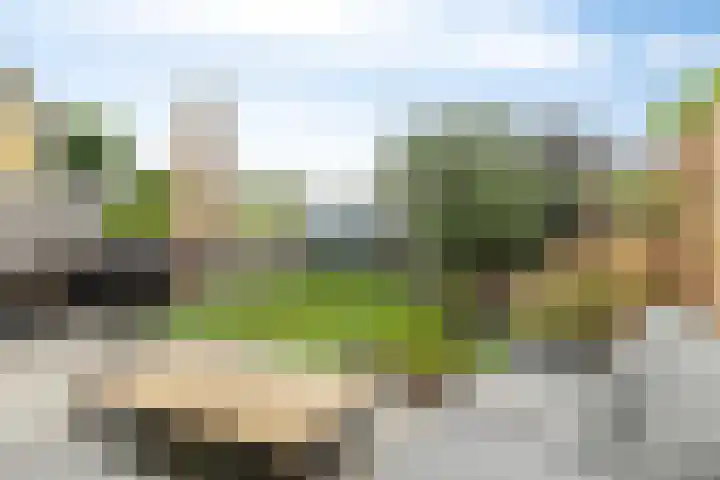 Opperduit 396 Lekkerkerk thumbnail 24