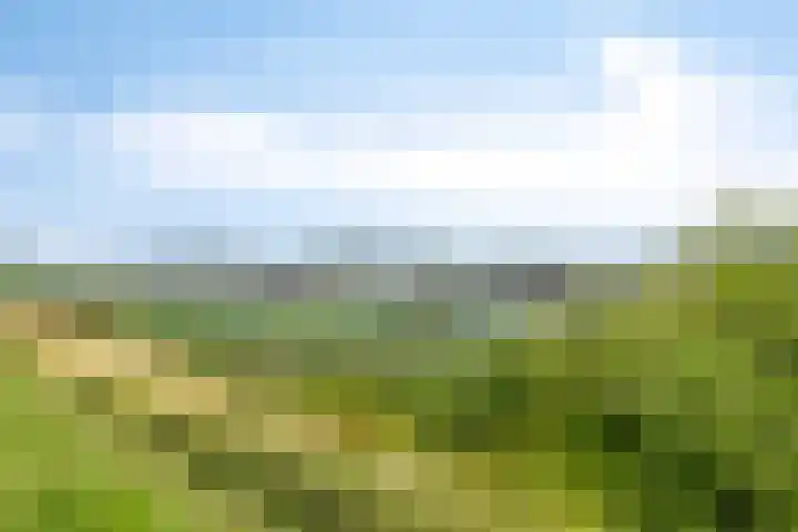 Opperduit 396 Lekkerkerk thumbnail 26