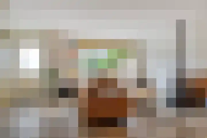 Opperduit 396 Lekkerkerk foto 3