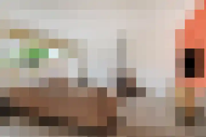 Opperduit 396 Lekkerkerk thumbnail 4