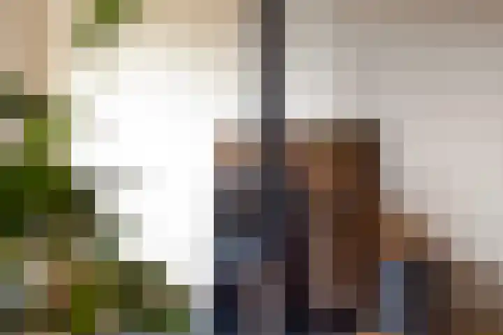 Opperduit 396 Lekkerkerk thumbnail 5