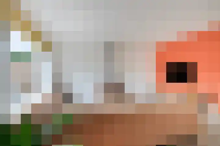 Opperduit 396 Lekkerkerk thumbnail 6
