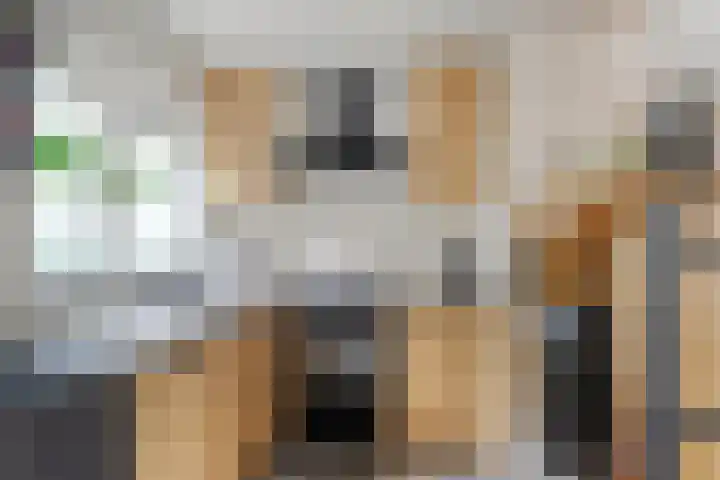 Opperduit 396 Lekkerkerk thumbnail 9