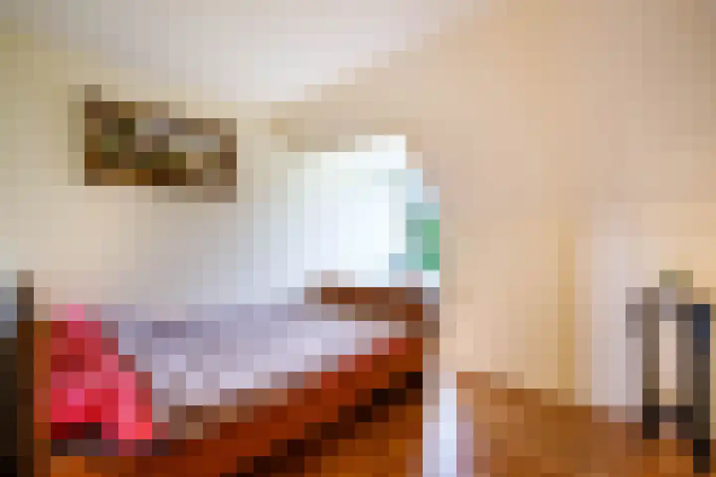 Opperduit 40 Lekkerkerk thumbnail 29