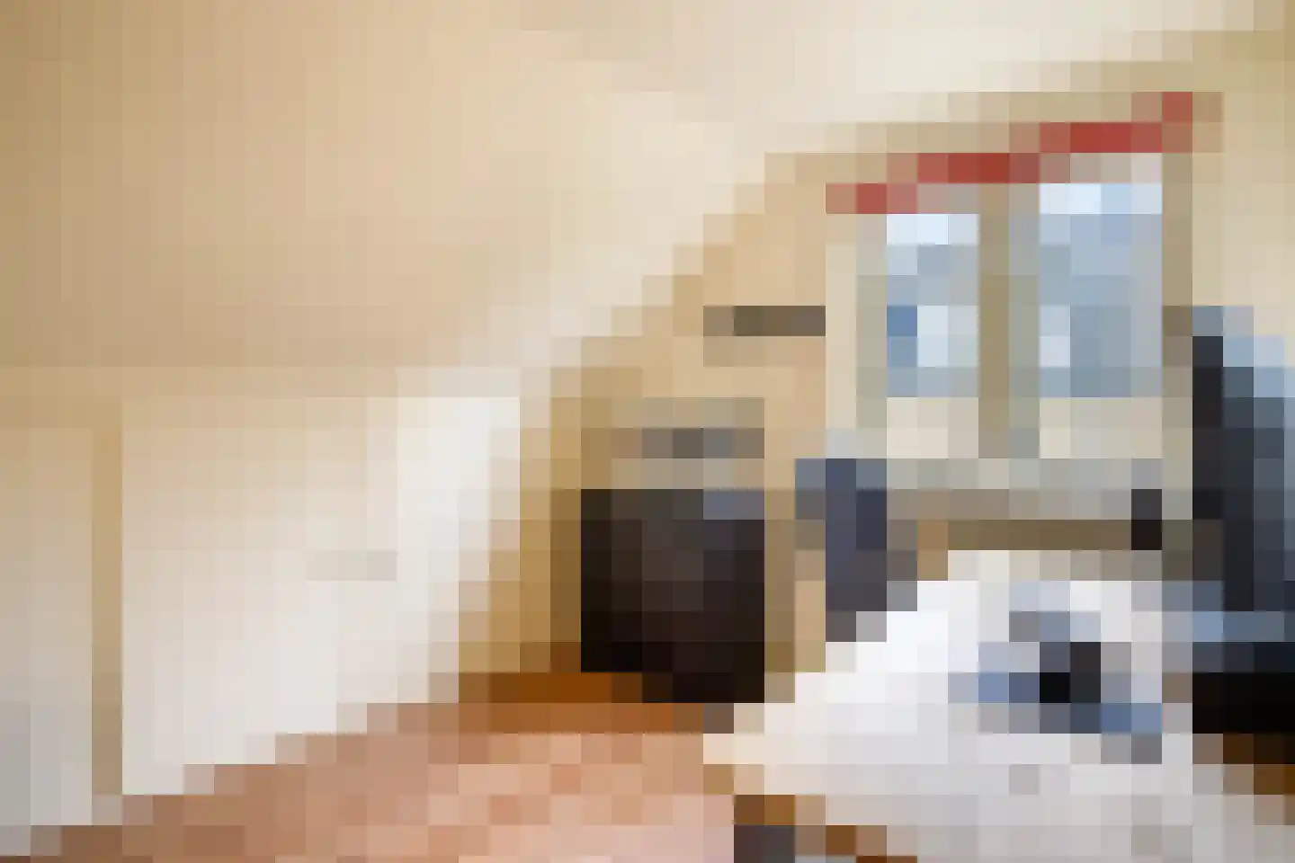 Opperduit 40 Lekkerkerk thumbnail 30