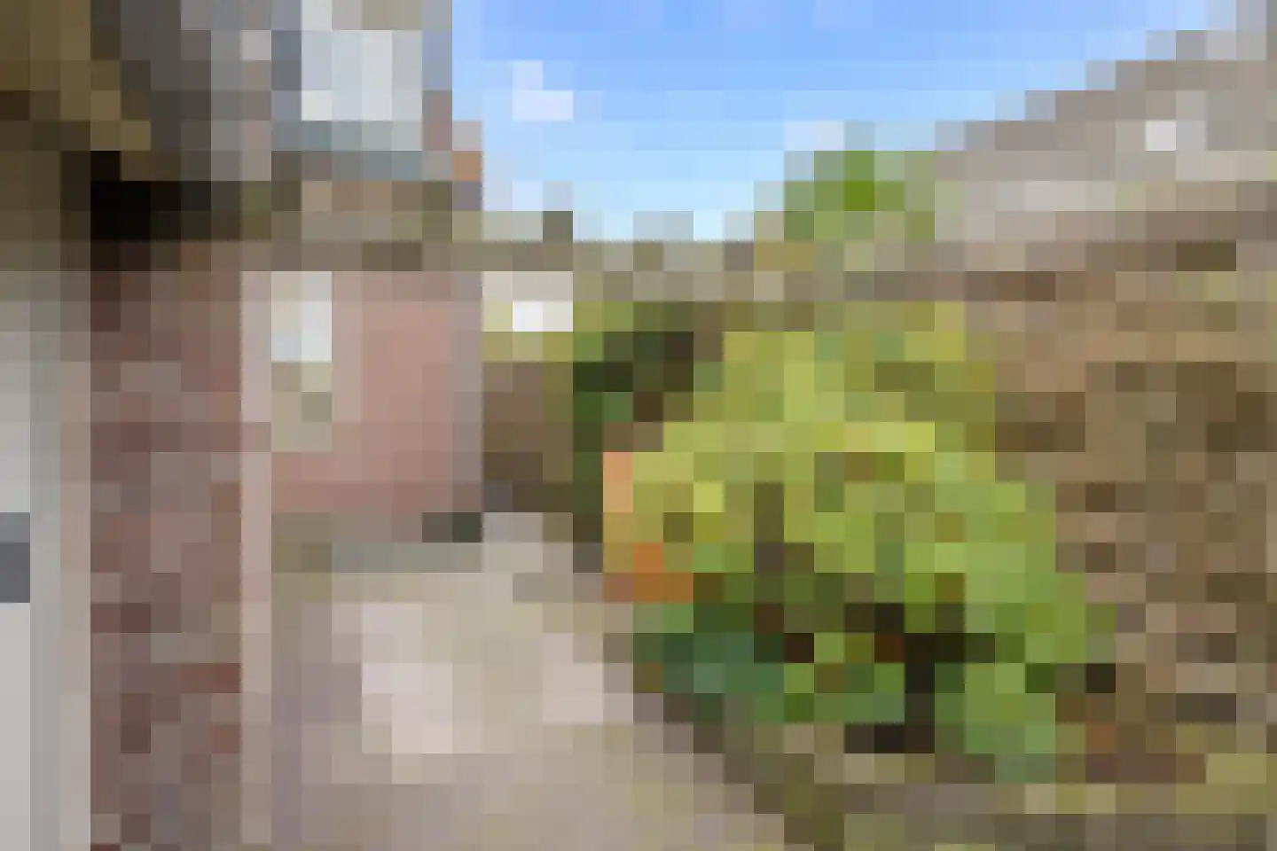Opperduit 40 Lekkerkerk thumbnail 33
