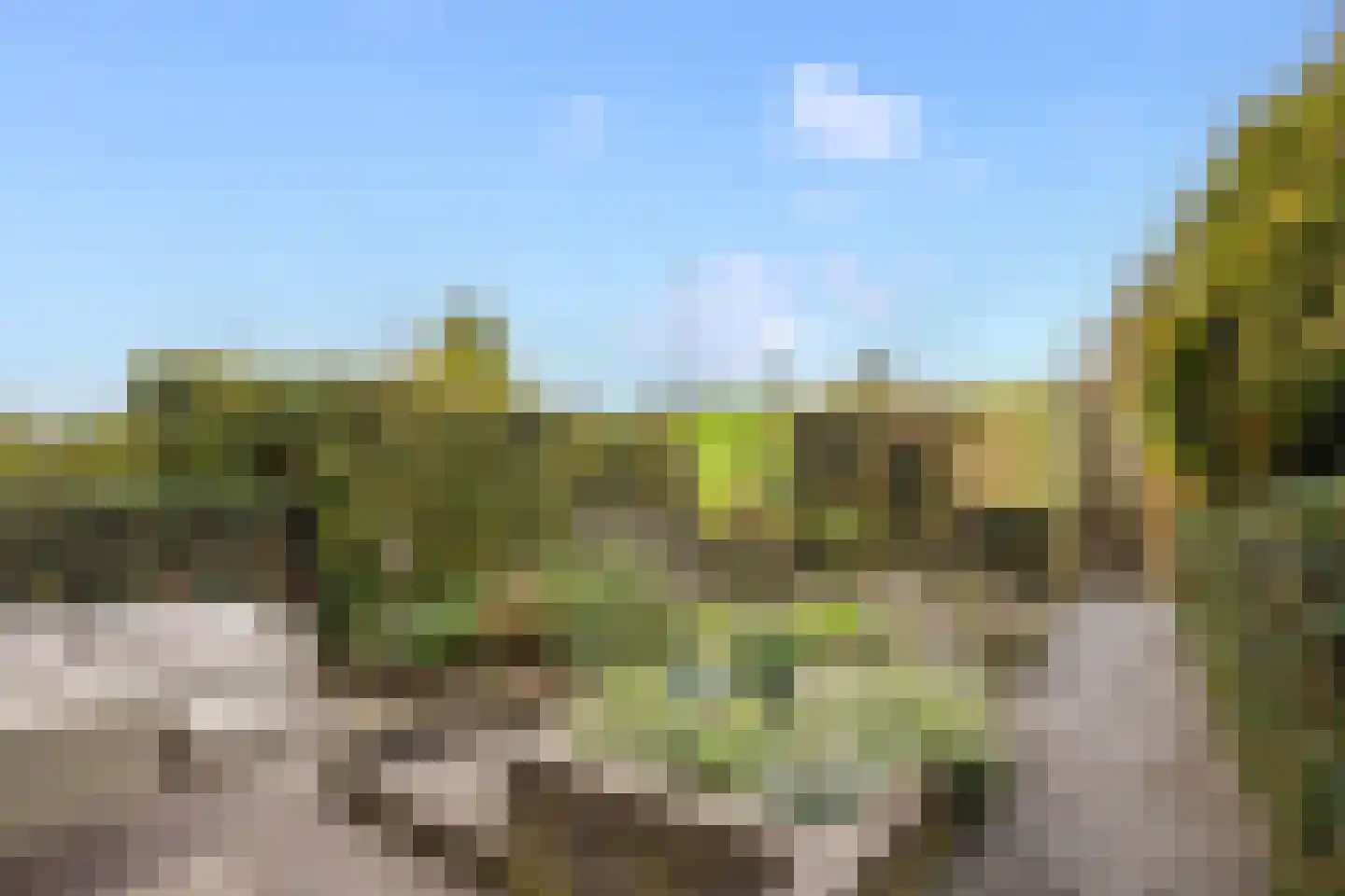 Opperduit 40 Lekkerkerk thumbnail 38