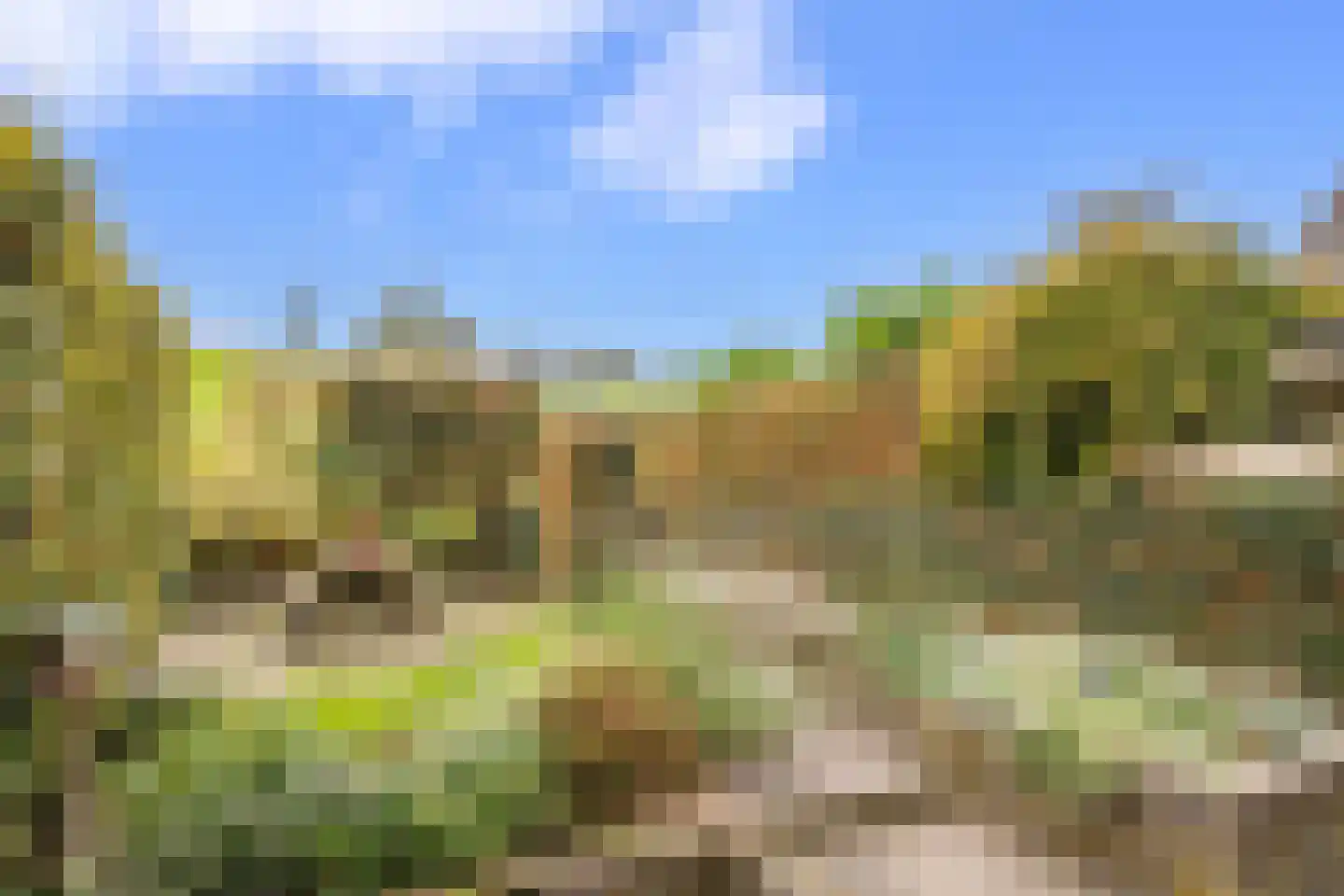 Opperduit 40 Lekkerkerk thumbnail 39