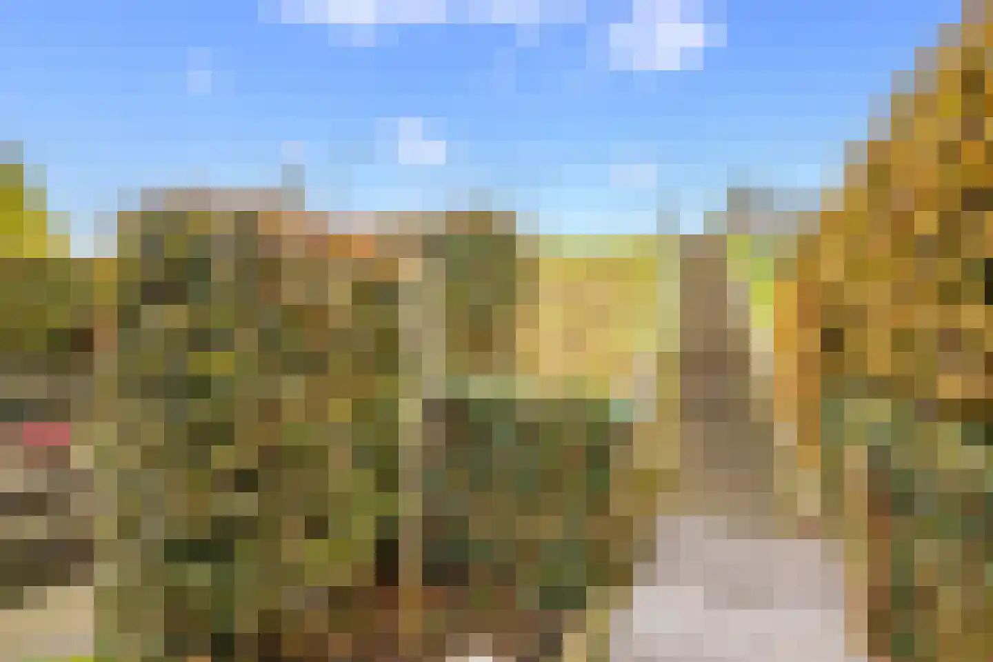 Opperduit 40 Lekkerkerk thumbnail 7