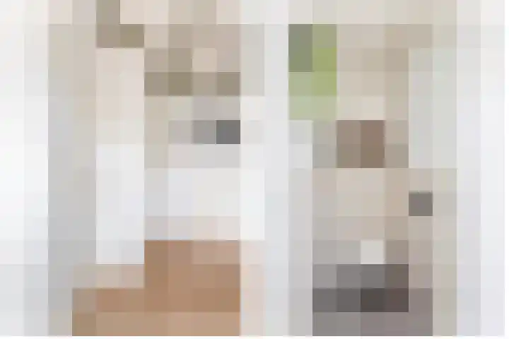 Opperduit 494 Lekkerkerk thumbnail 10