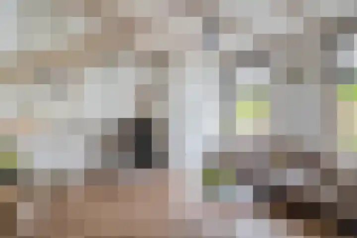 Opperduit 494 Lekkerkerk thumbnail 11