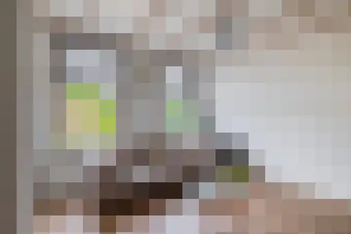 Opperduit 494 Lekkerkerk thumbnail 12