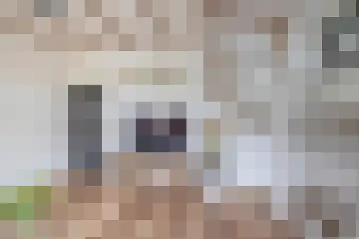 Opperduit 494 Lekkerkerk thumbnail 13