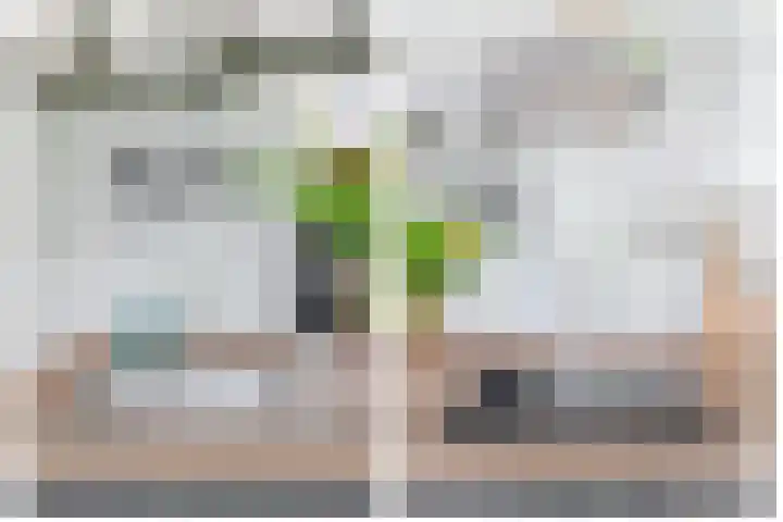 Opperduit 494 Lekkerkerk thumbnail 18