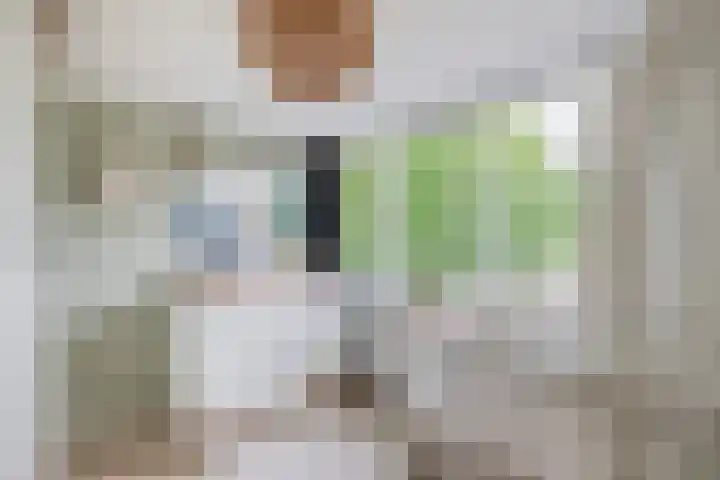 Opperduit 494 Lekkerkerk thumbnail 21