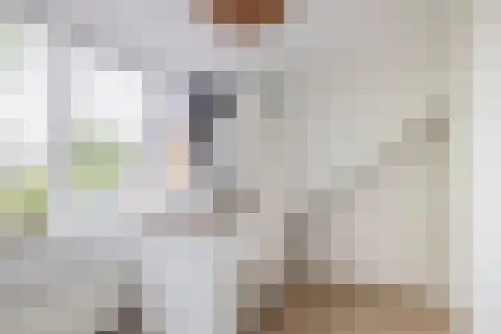 Opperduit 494 Lekkerkerk thumbnail 22