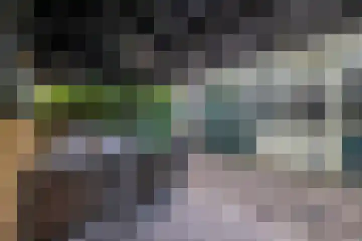 Opperduit 494 Lekkerkerk thumbnail 28