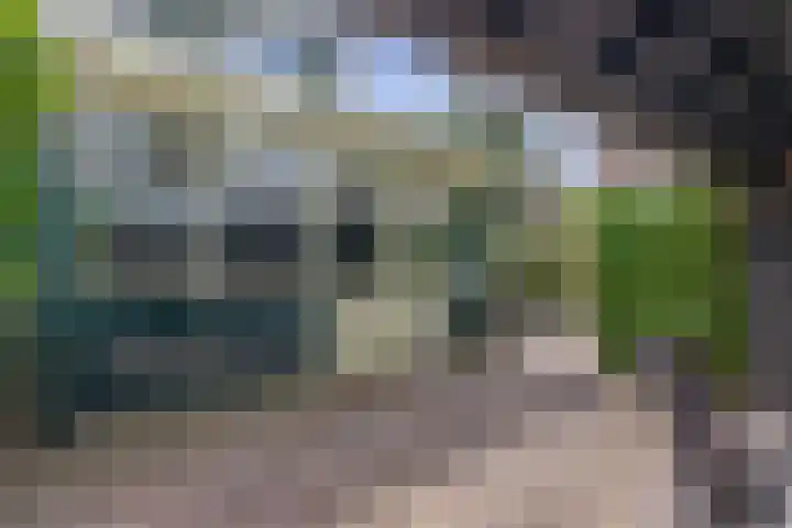 Opperduit 494 Lekkerkerk thumbnail 29