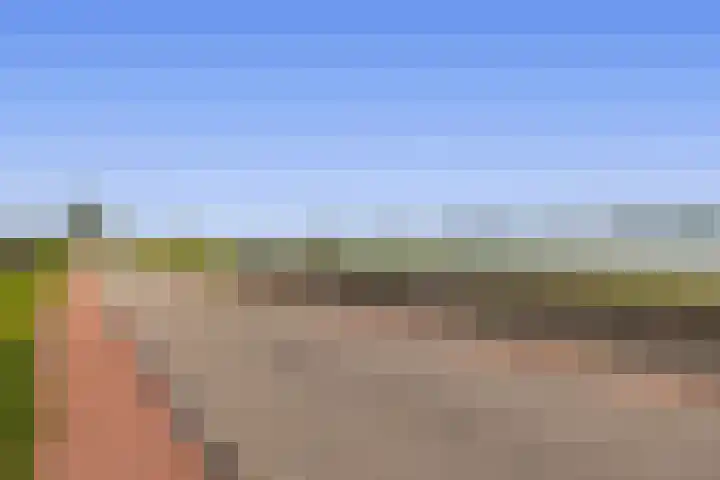 Opperduit 494 Lekkerkerk thumbnail 30