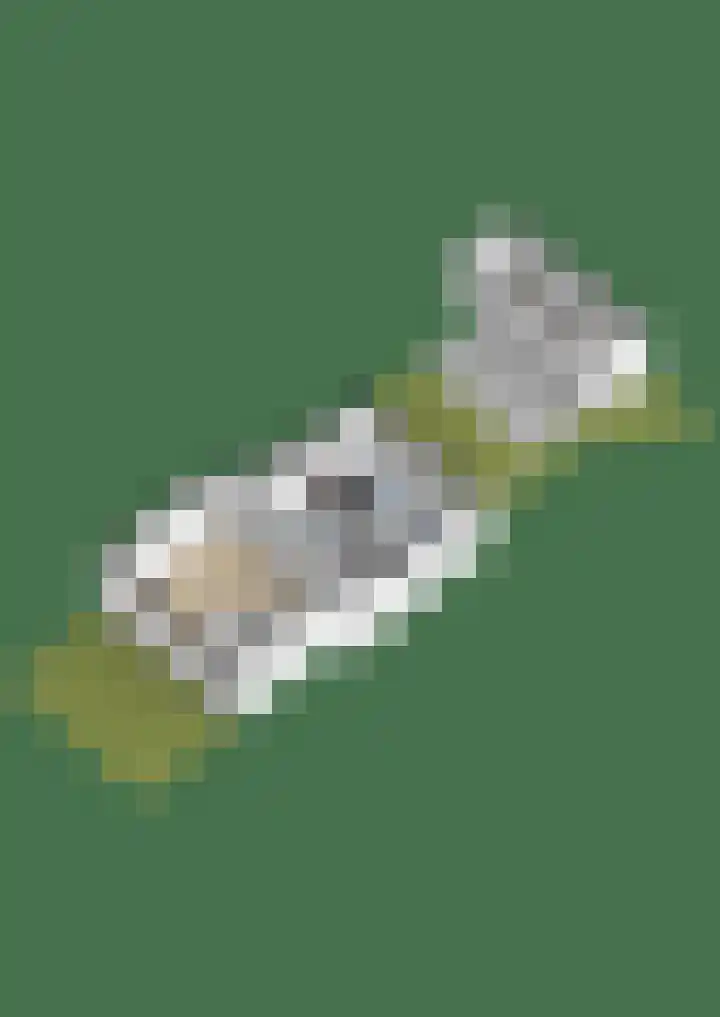 Opperduit 494 Lekkerkerk thumbnail 33