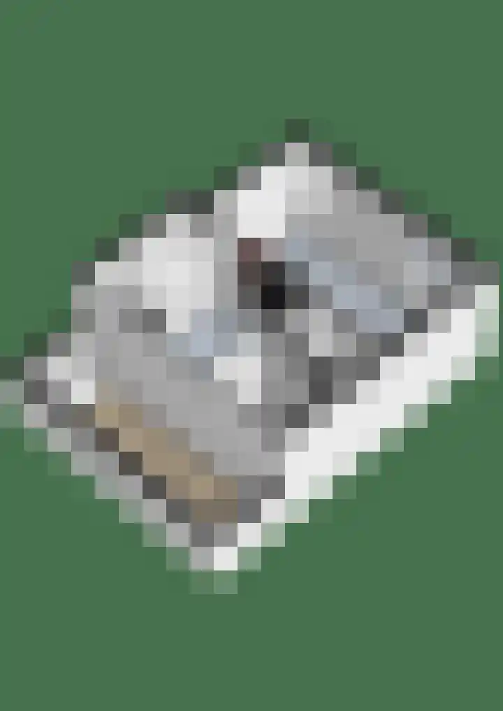 Opperduit 494 Lekkerkerk thumbnail 35