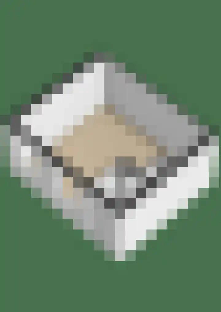 Opperduit 494 Lekkerkerk thumbnail 37