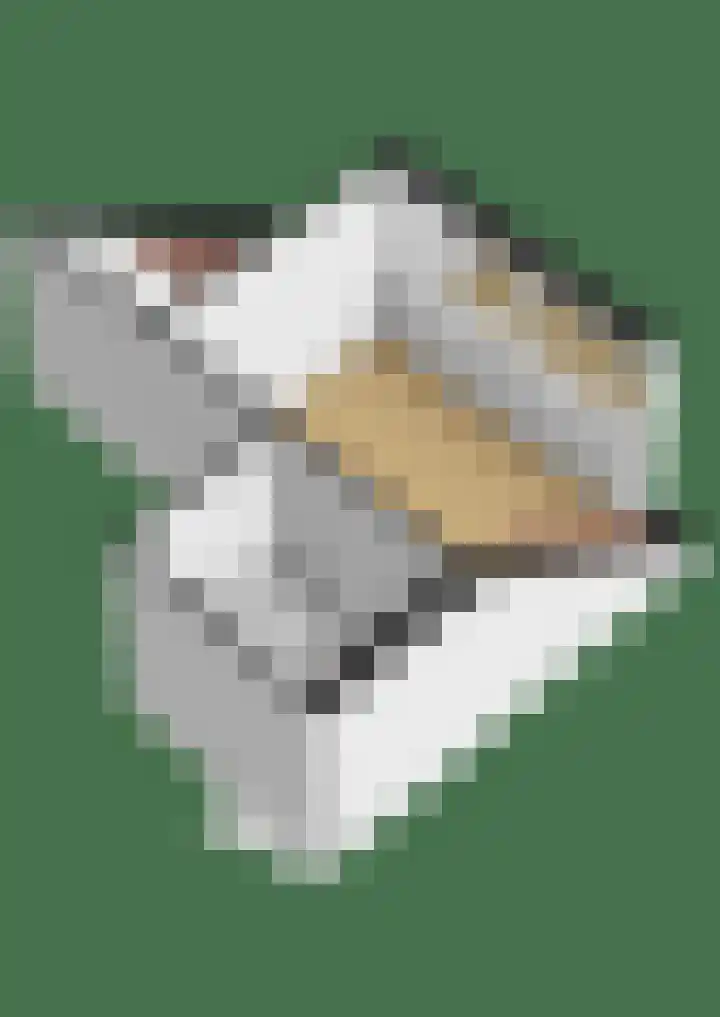 Opperduit 494 Lekkerkerk thumbnail 39