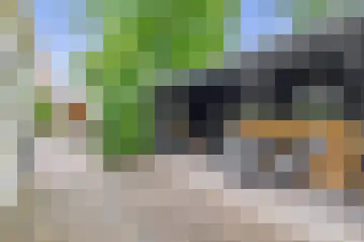 Opperduit 494 Lekkerkerk thumbnail 4
