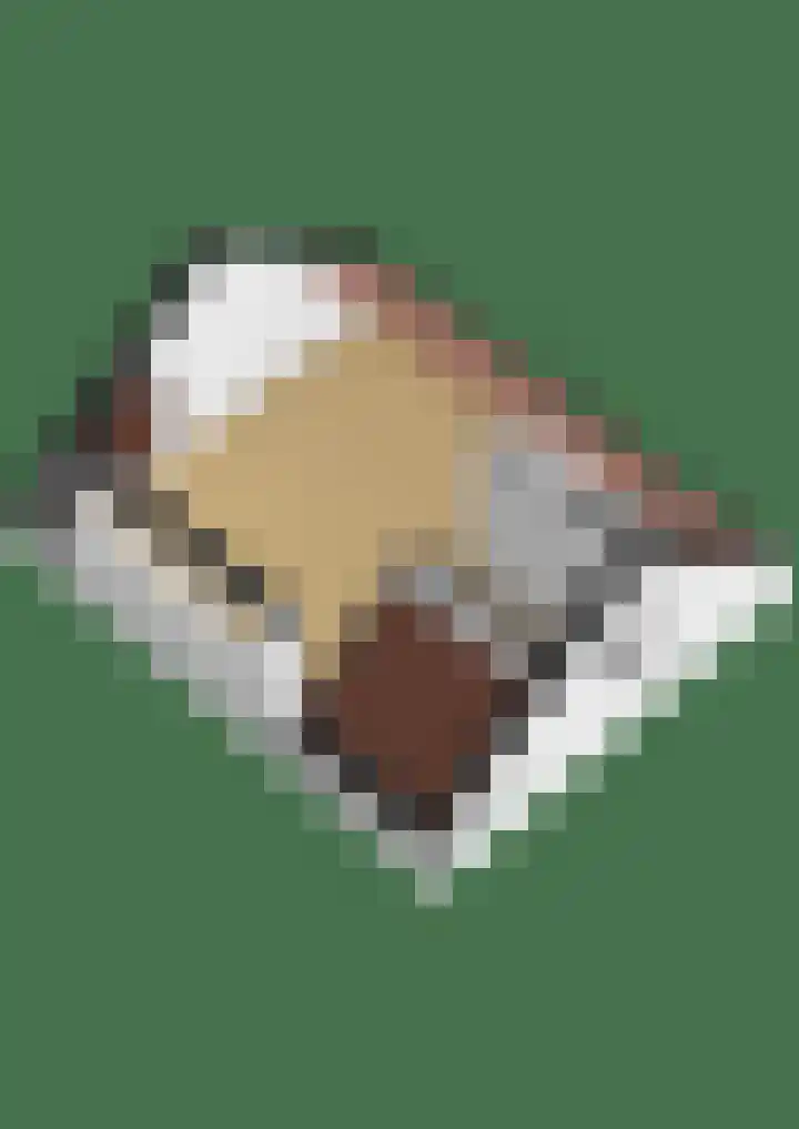 Opperduit 494 Lekkerkerk thumbnail 41
