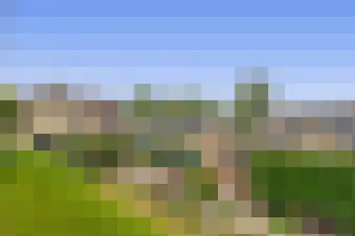 Opperduit 494 Lekkerkerk thumbnail 5