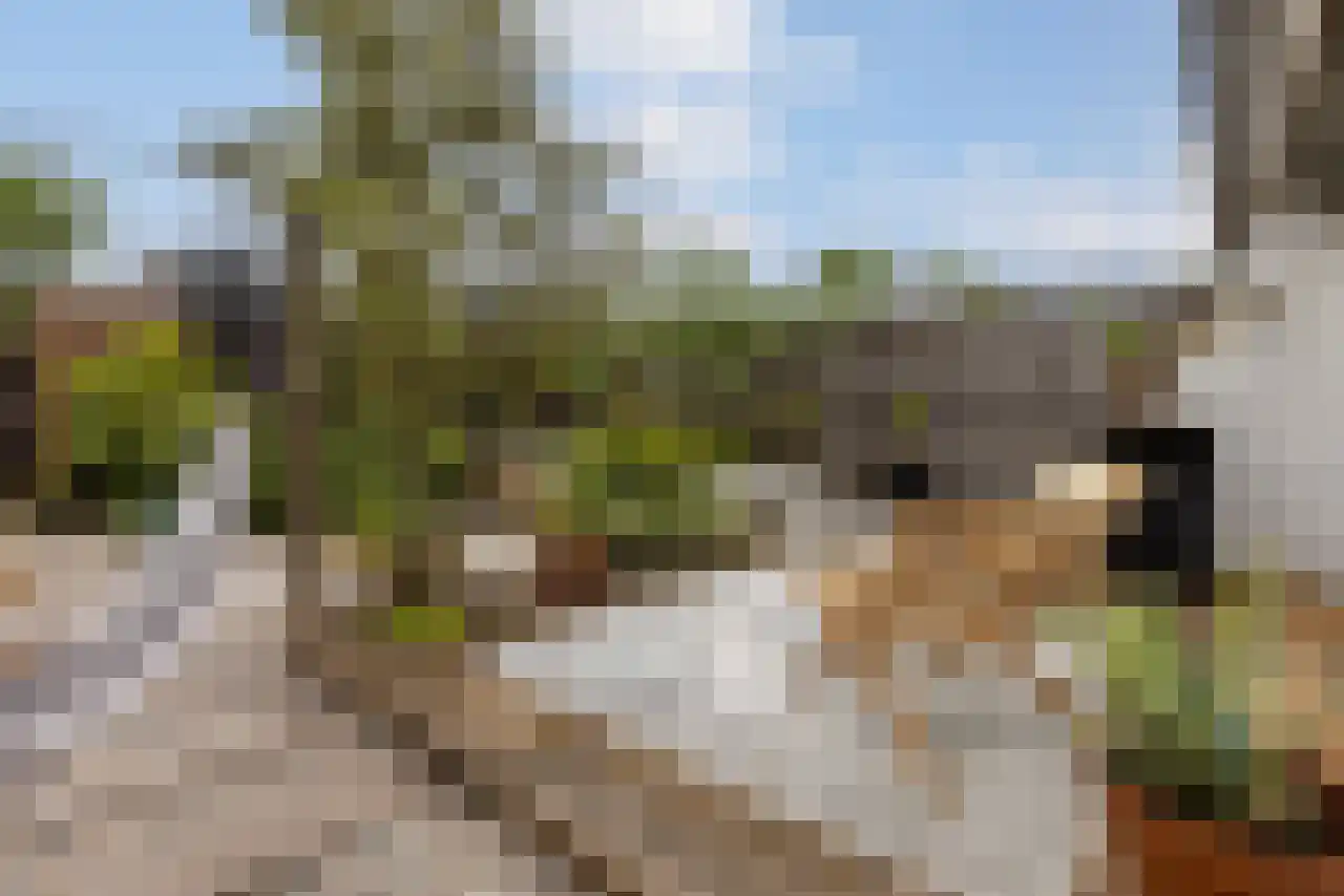 Opperland 4 Bergen op Zoom thumbnail 30