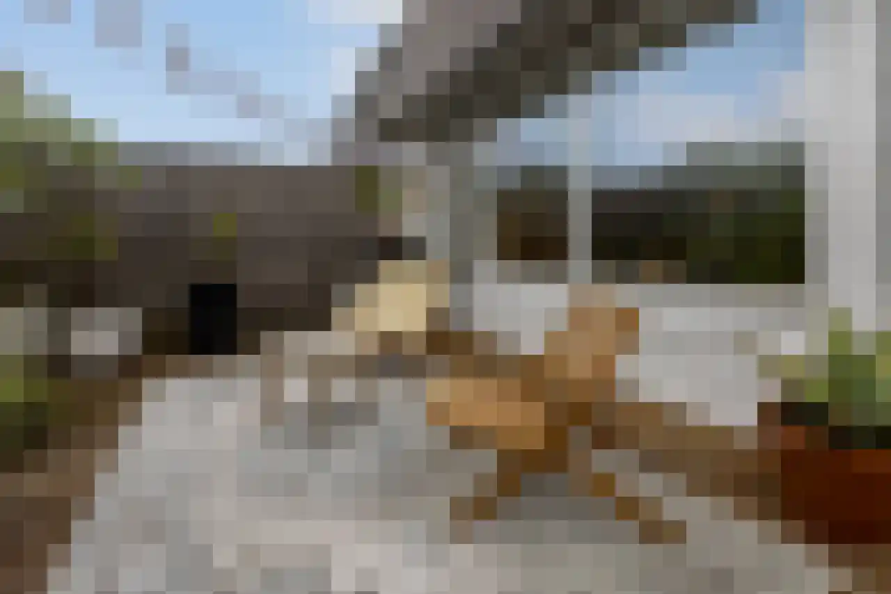 Opperland 4 Bergen op Zoom thumbnail 31