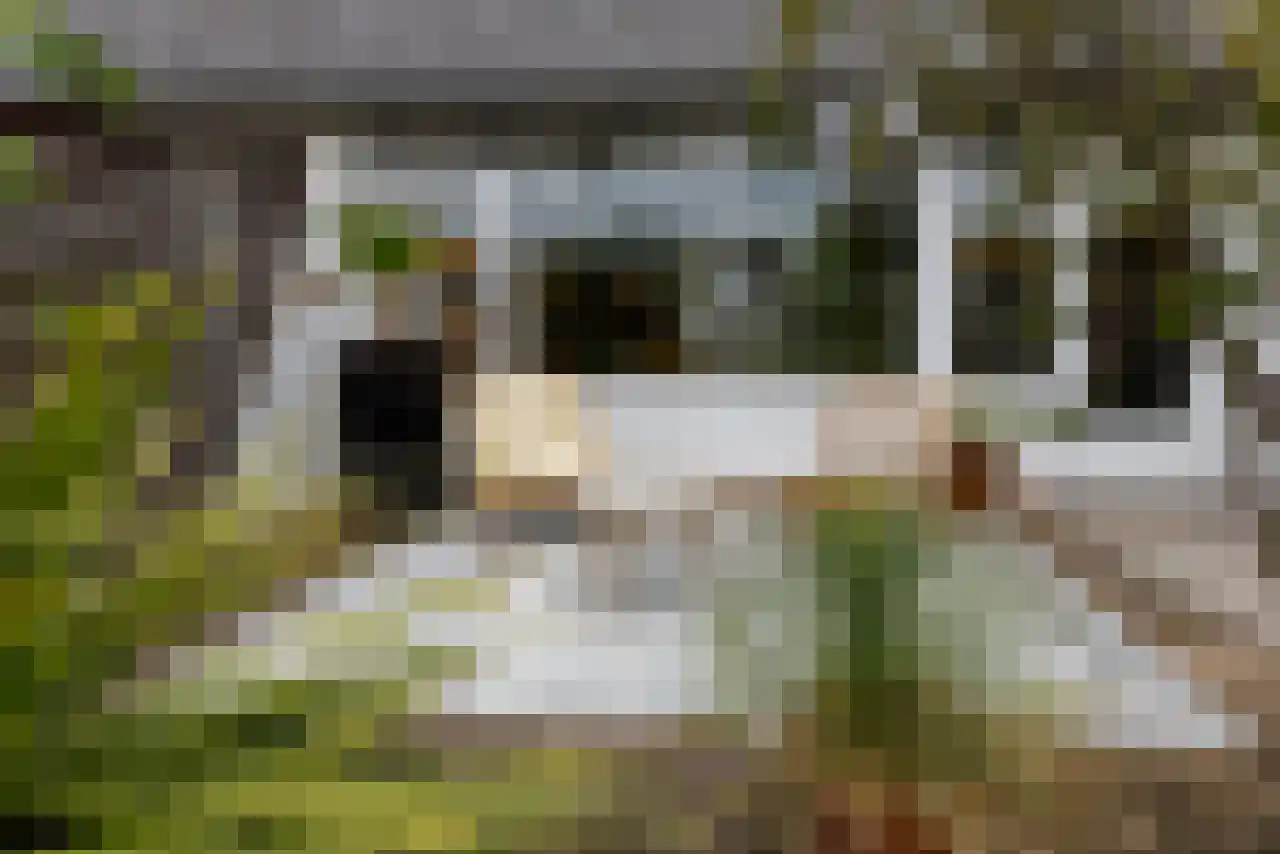 Opperland 4 Bergen op Zoom thumbnail 32