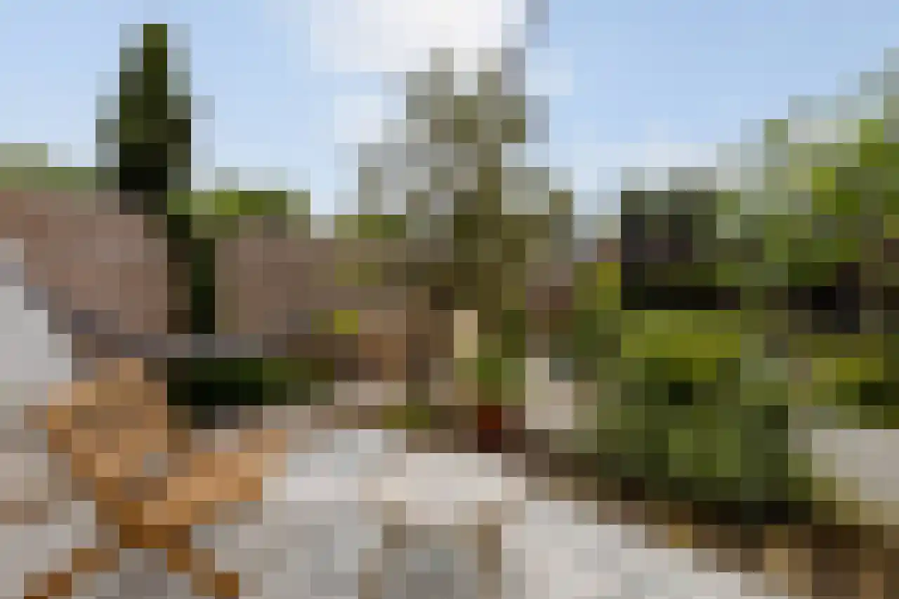 Opperland 4 Bergen op Zoom thumbnail 33