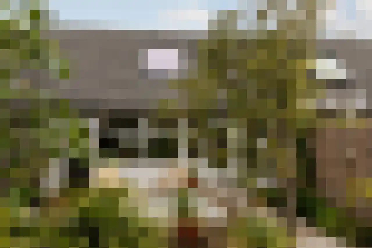 Opperland 4 Bergen op Zoom thumbnail 34